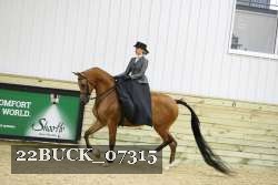 22BUCK_07315 proof