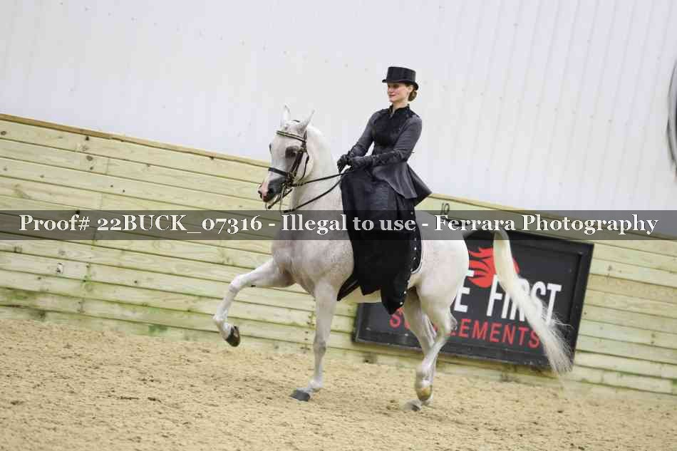 Proof 22BUCK_07316