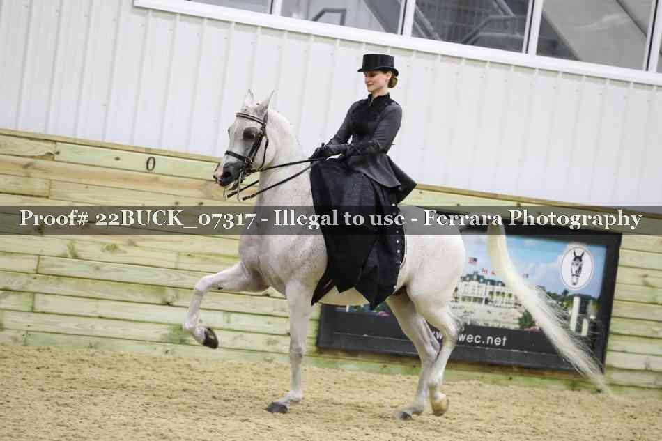 Proof 22BUCK_07317
