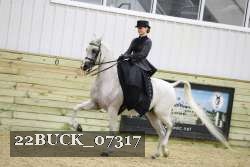 22BUCK_07317 proof