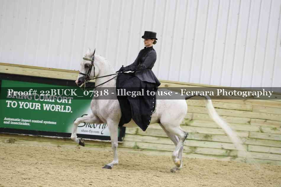 Proof 22BUCK_07318