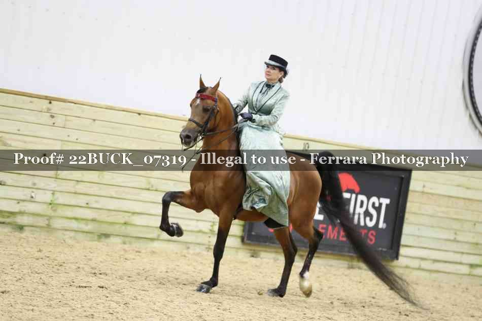 Proof 22BUCK_07319