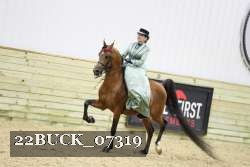 22BUCK_07319 proof