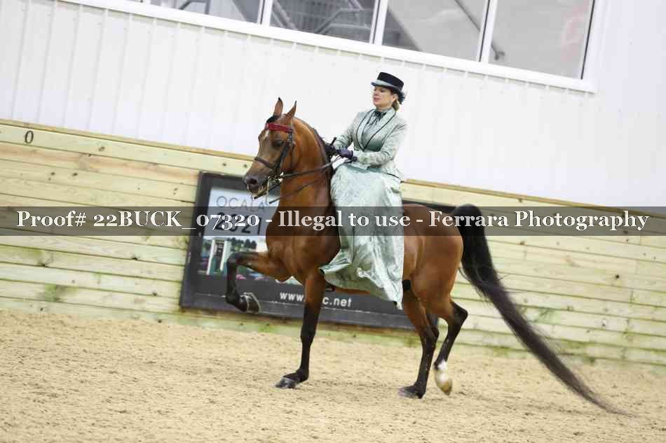 Proof 22BUCK_07320