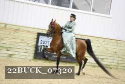 22BUCK_07320 proof
