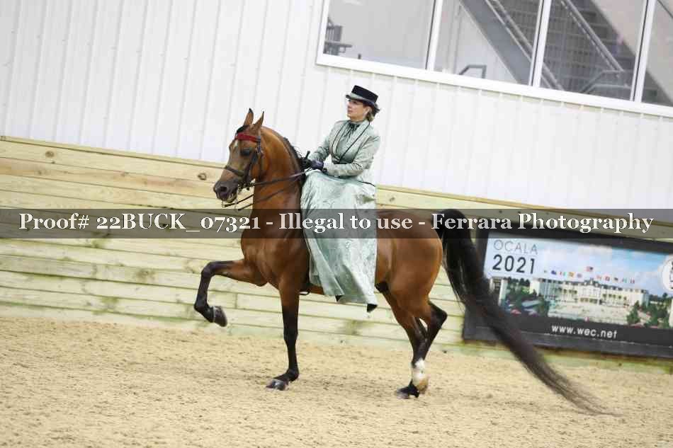 Proof 22BUCK_07321