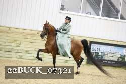 22BUCK_07321 proof