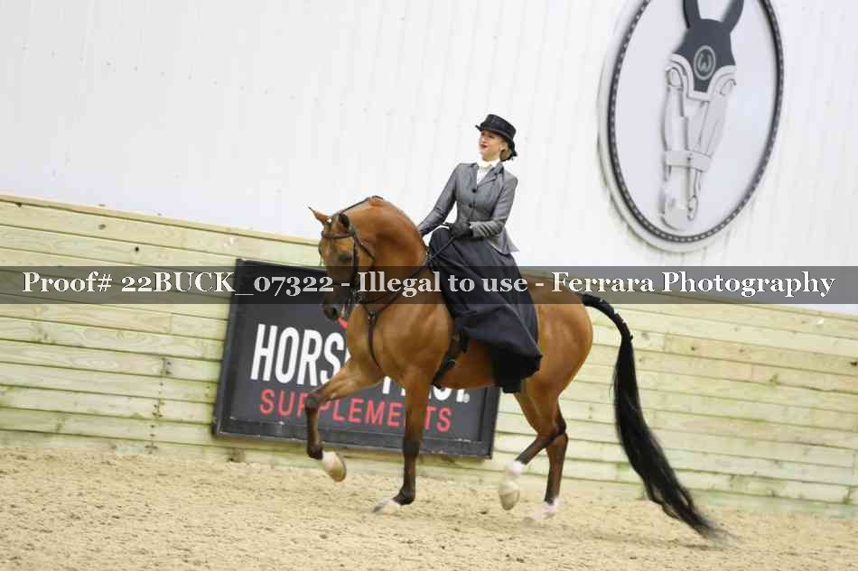 Proof 22BUCK_07322