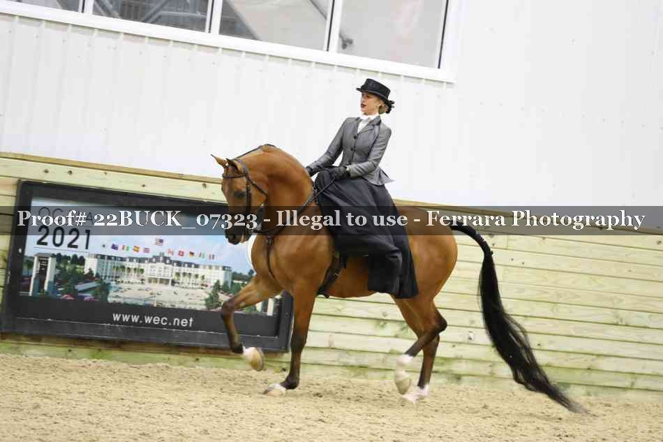 Proof 22BUCK_07323