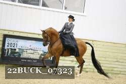 22BUCK_07323 proof