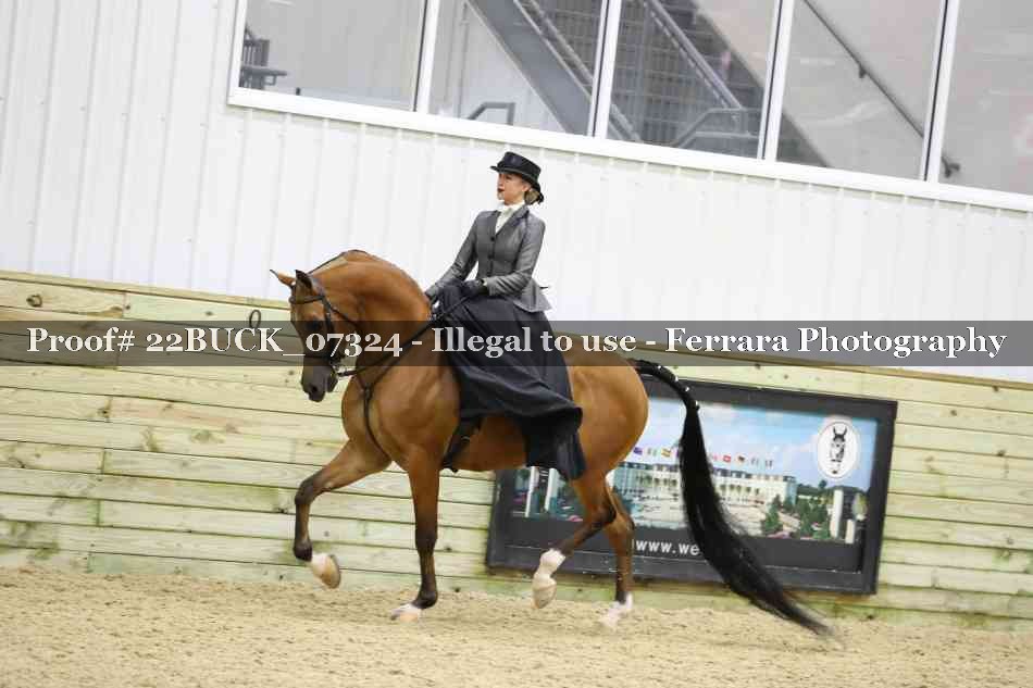 Proof 22BUCK_07324