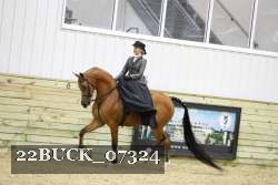 22BUCK_07324 proof