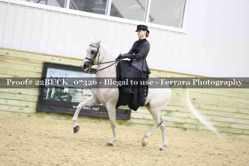 Proof 22BUCK_07326