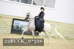 22BUCK_07326 proof
