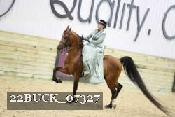 22BUCK_07327 proof
