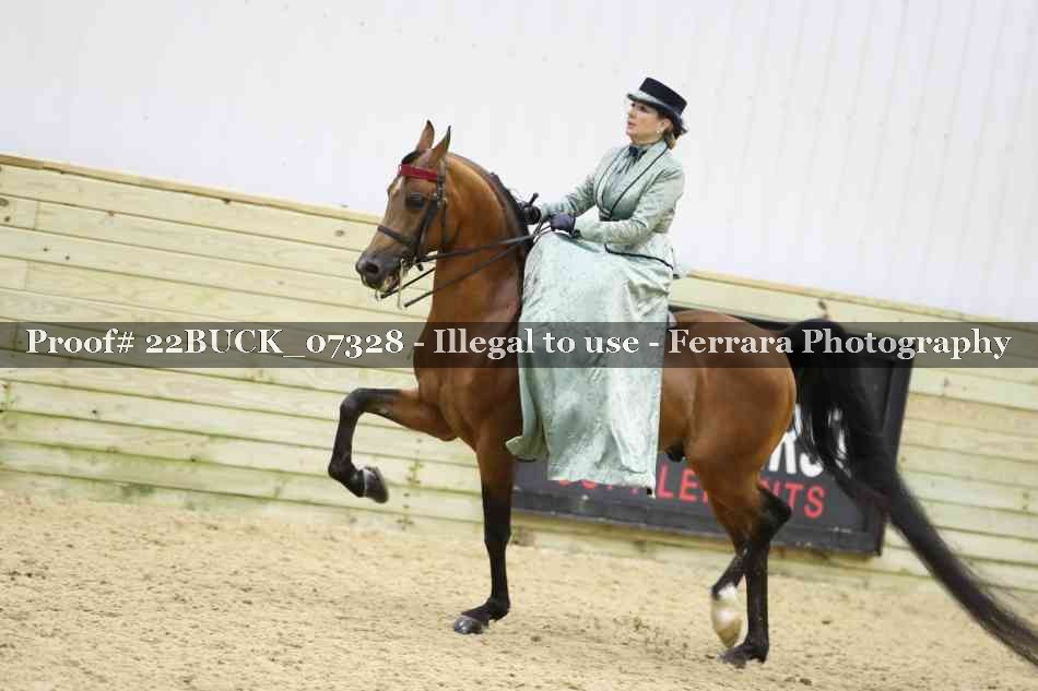 Proof 22BUCK_07328