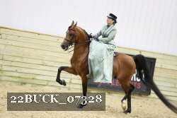 22BUCK_07328 proof