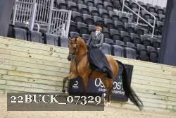 22BUCK_07329 proof