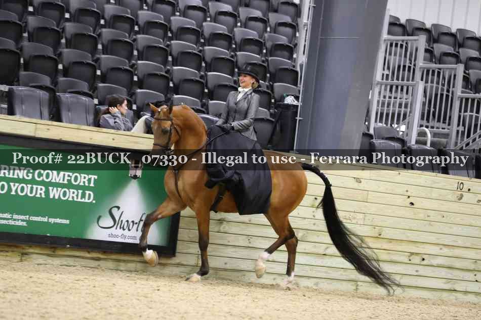 Proof 22BUCK_07330