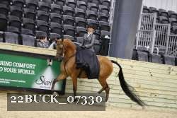 22BUCK_07330 proof