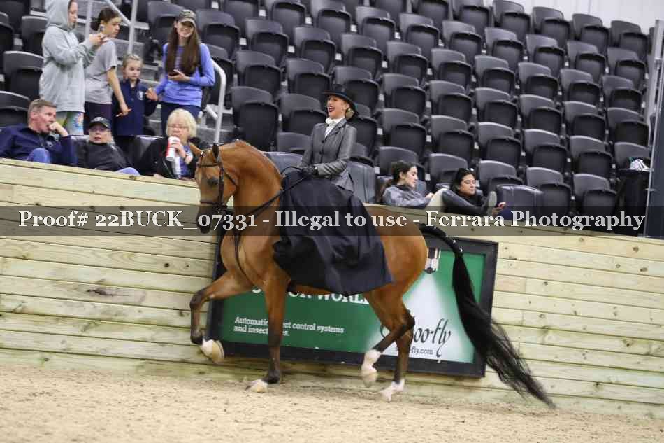 Proof 22BUCK_07331