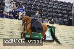 22BUCK_07331 proof