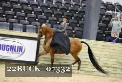 22BUCK_07332 proof