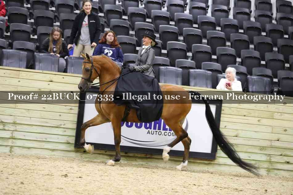 Proof 22BUCK_07333