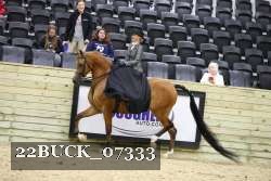 22BUCK_07333 proof