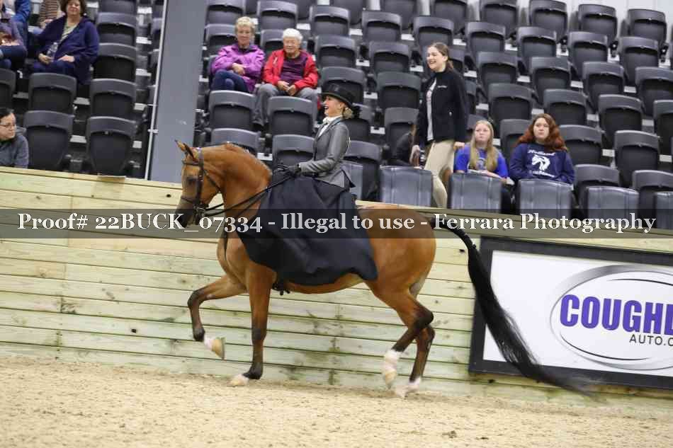Proof 22BUCK_07334