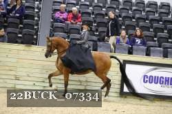 22BUCK_07334 proof