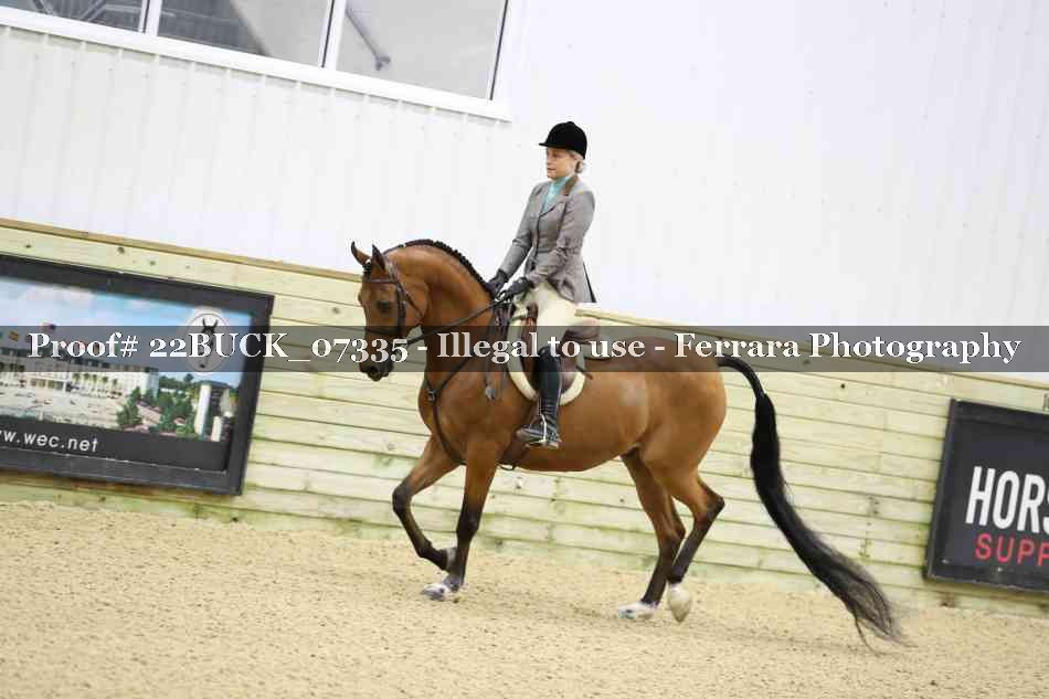 Proof 22BUCK_07335