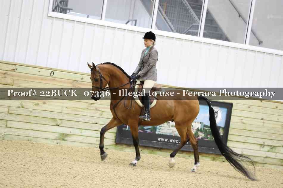 Proof 22BUCK_07336