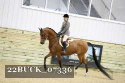 22BUCK_07336 proof