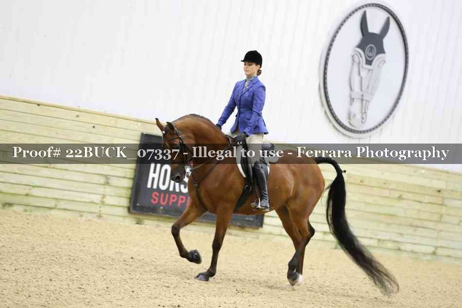 Proof 22BUCK_07337