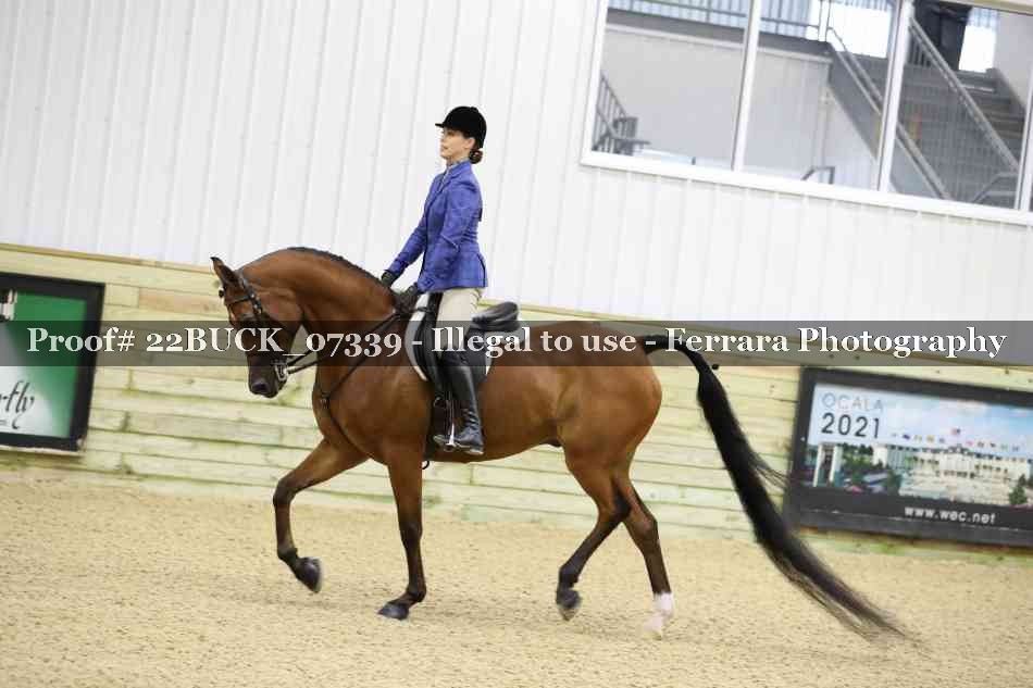 Proof 22BUCK_07339