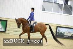 22BUCK_07339 proof