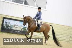 22BUCK_07340 proof