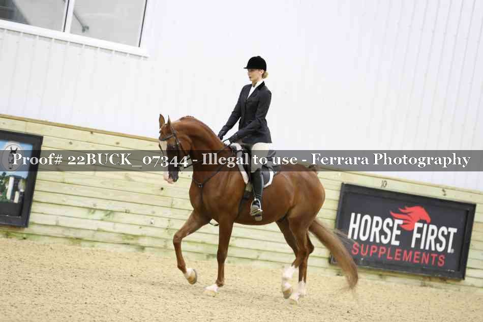 Proof 22BUCK_07344