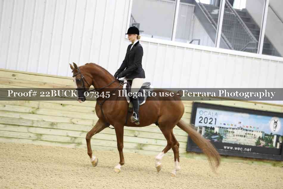 Proof 22BUCK_07345
