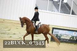 22BUCK_07345 proof