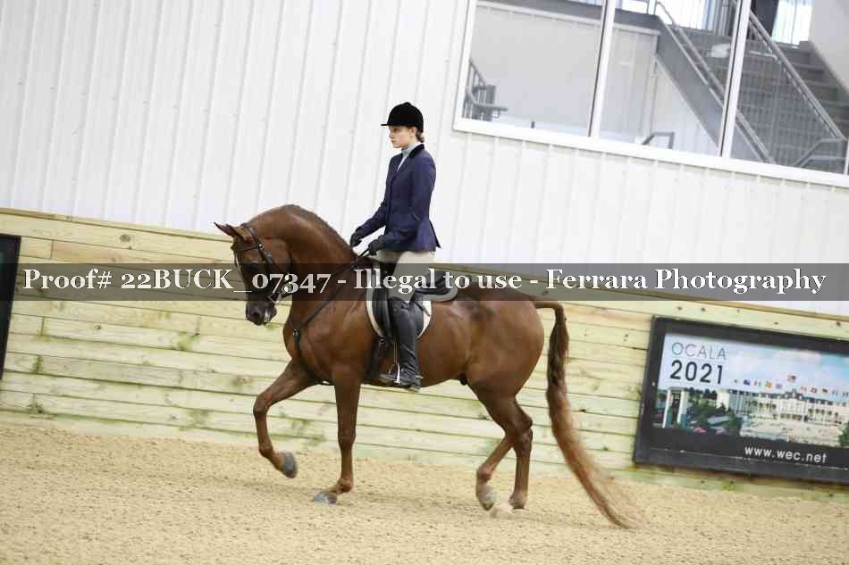 Proof 22BUCK_07347