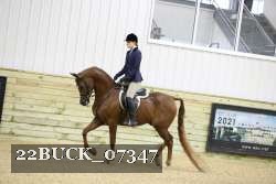 22BUCK_07347 proof