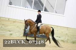 22BUCK_07348 proof