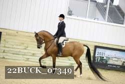 22BUCK_07349 proof