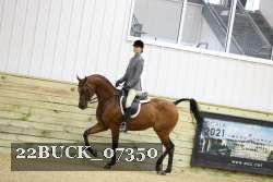 22BUCK_07350 proof