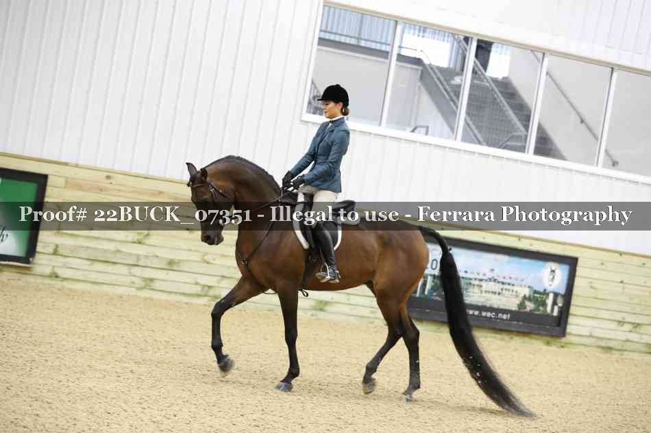 Proof 22BUCK_07351