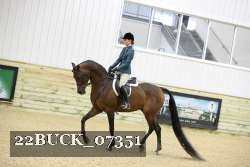 22BUCK_07351 proof