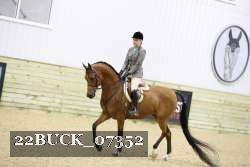 22BUCK_07352 proof