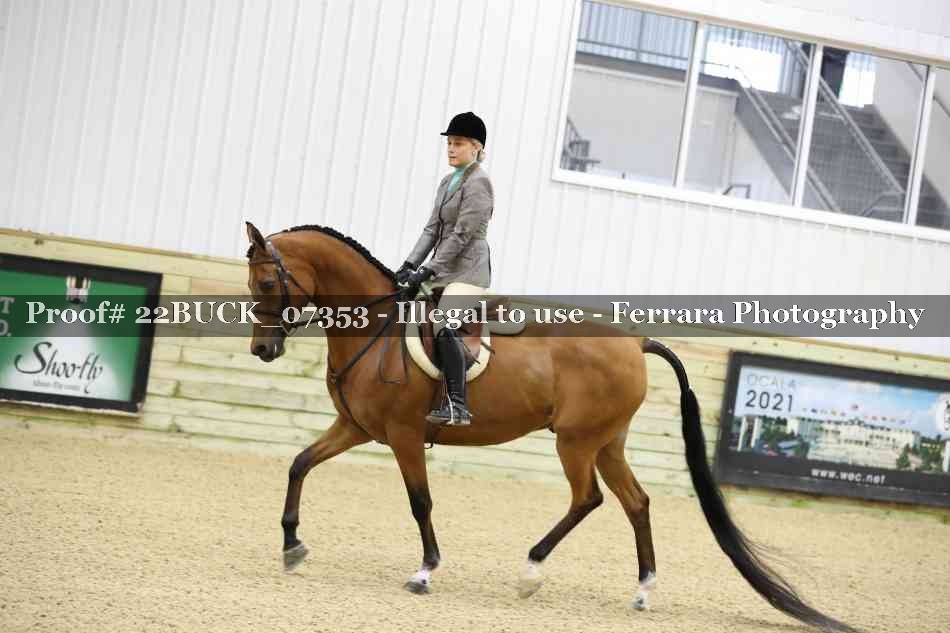 Proof 22BUCK_07353